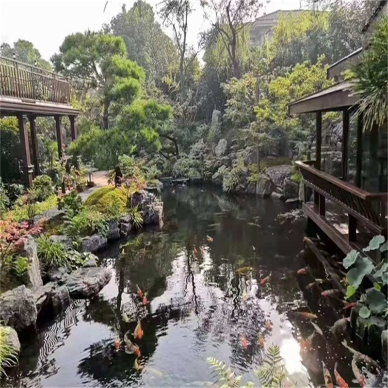 潍坊假山植物小鱼池